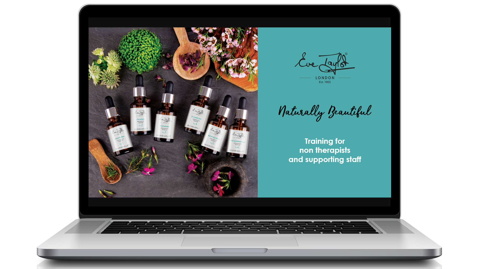 Training for non therapists and supporting staff - Online Course