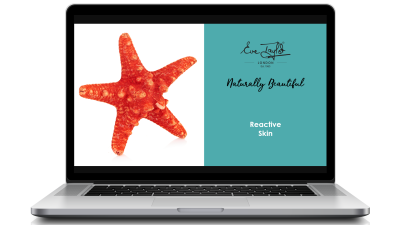 Reactive Skin - Online Course